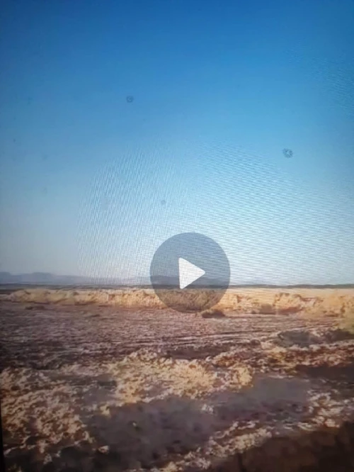 Vente Terrain Agricole Biskra Ourlala