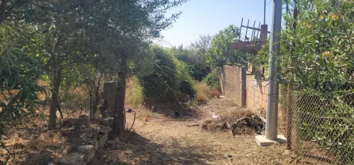 Vente Terrain Blida Meftah