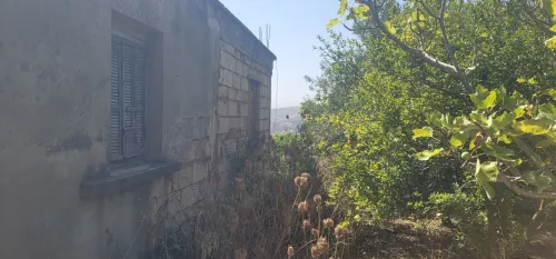 Vente Terrain Blida Meftah