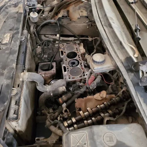 Citroen C4 2007 Vitamine
