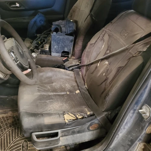 Citroen C4 2007 Vitamine