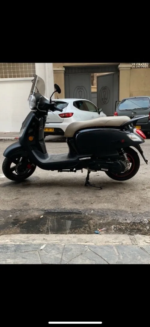 Sym Fiddle 3 2019