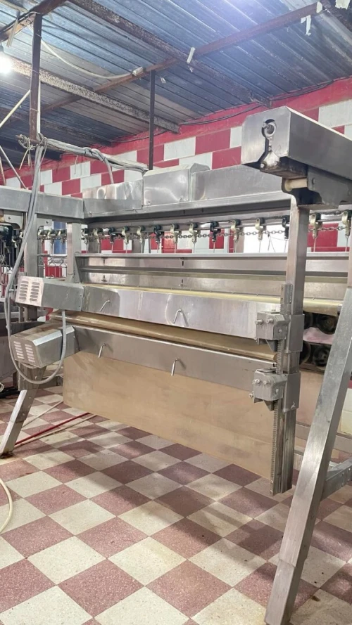 Vente Hangar - Usine Djelfa Hassi bahbah