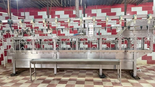 Vente Hangar - Usine Djelfa Hassi bahbah