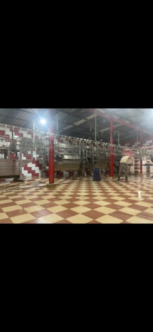 Vente Hangar - Usine Djelfa Hassi bahbah