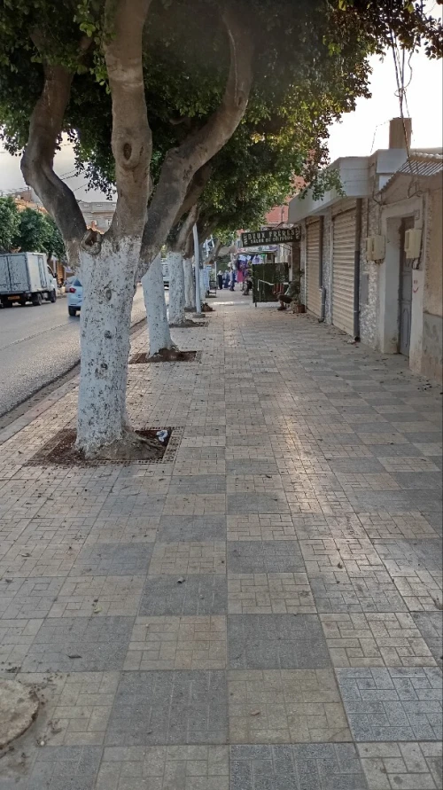Location Local Tipaza Sidi ghiles
