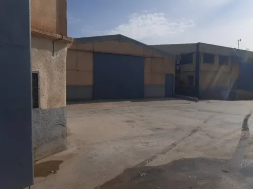 Location Hangar - Usine Tipaza Kolea