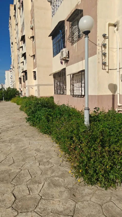 Vente Appartement F3 Constantine El khroub