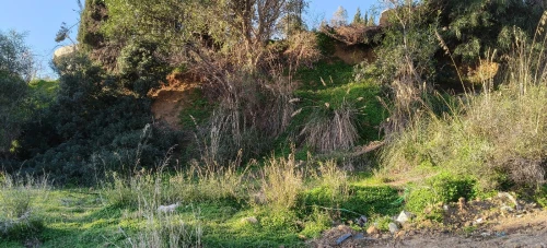 Vente Terrain Boumerdès Zemmouri