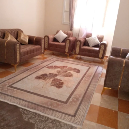 Vente Appartement F3 Biskra Chetma