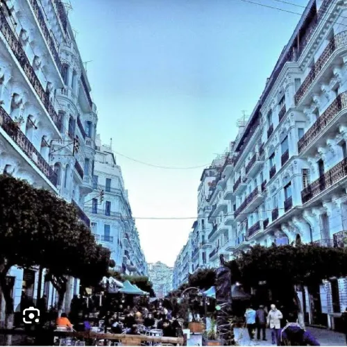 Cherche location Local Alger Alger centre