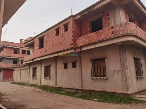 Vente Terrain Blida Chiffa