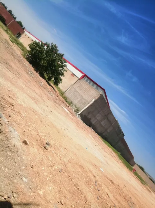 Location Terrain Mila Telerghma