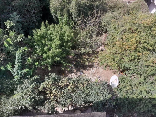 Vente Terrain Alger Bouzareah