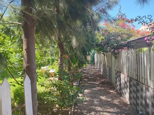 Location vacances Bungalow F2 Boumerdès Boumerdes