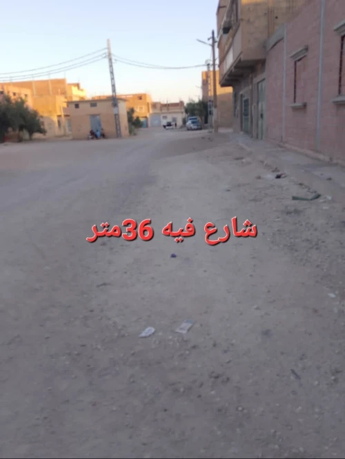 Vente Terrain Biskra Chetma