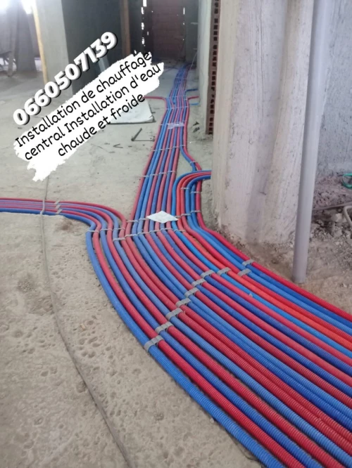 الجزائر