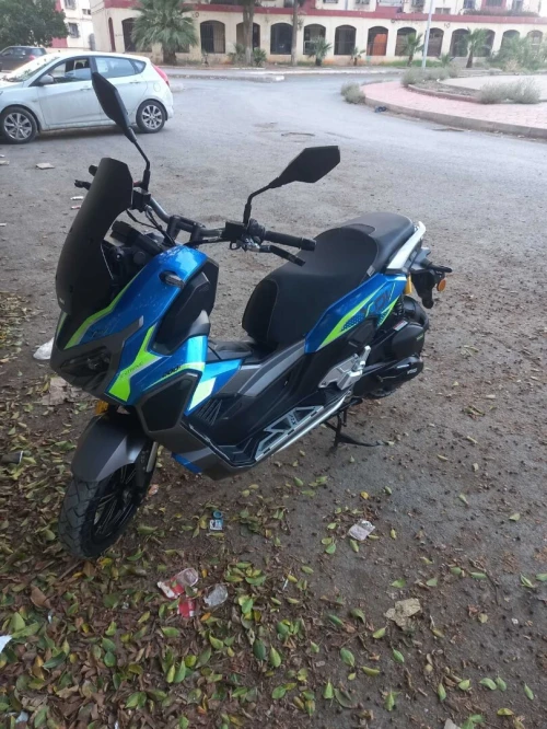 VMS XDV 2024