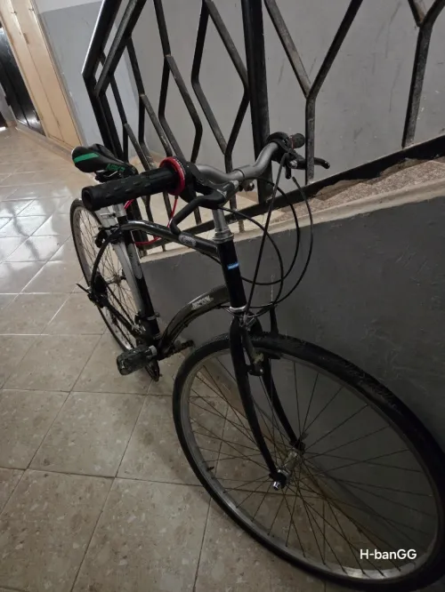Vélo Decathlon Concept C-Series