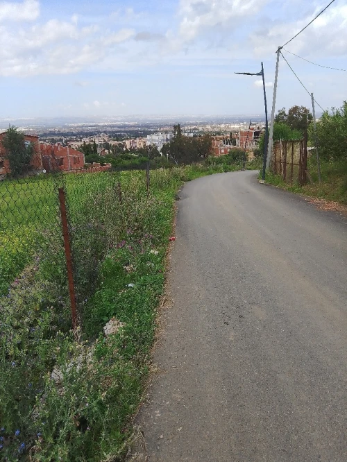 Vente Terrain Blida Ouled yaich