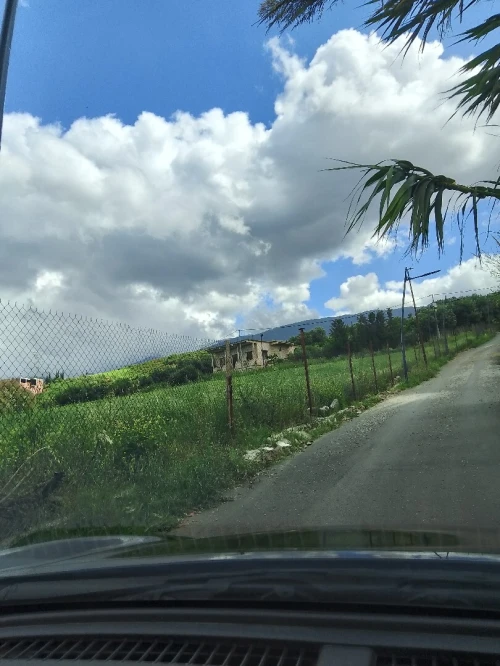 Vente Terrain Blida Ouled yaich