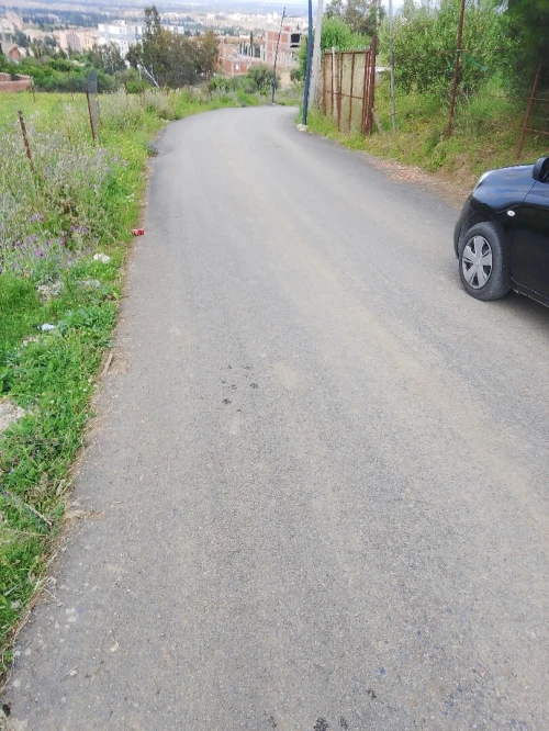 Vente Terrain Blida Ouled yaich