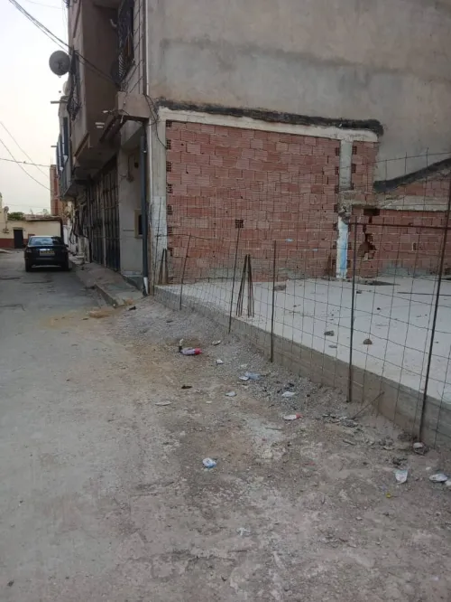 Vente Terrain Blida Blida