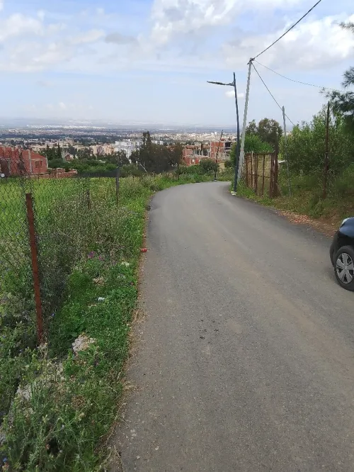Vente Terrain Blida Ouled yaich