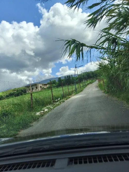 Vente Terrain Blida Ouled yaich