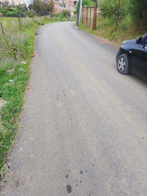 Vente Terrain Blida Ouled yaich