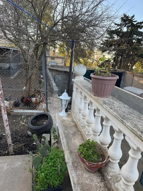 Vente Villa Alger Rais hamidou