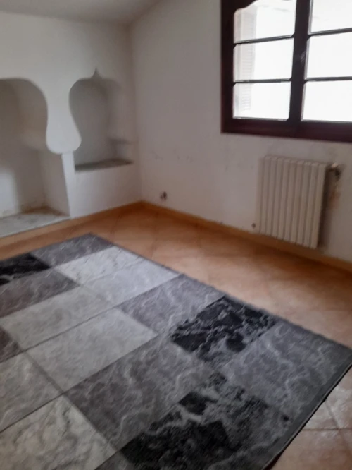 Vente Villa Alger El marsa