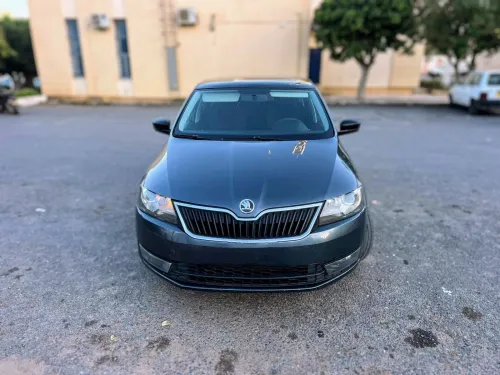 Skoda Rapid Spaceback 2014 Spaceback