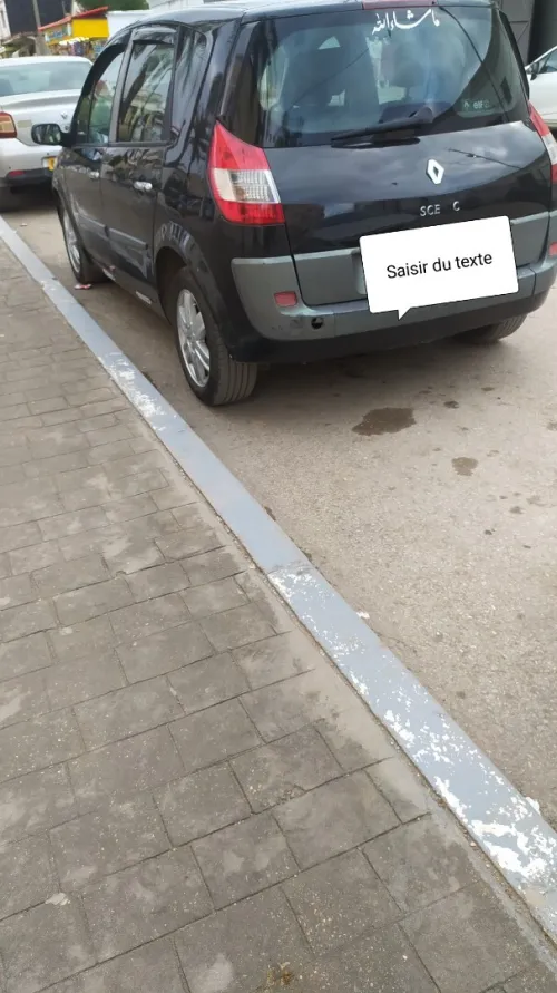 Renault Scenic 2005 Scenic