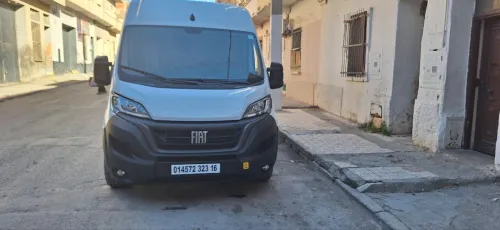 Fiat 2 paneau 2023
