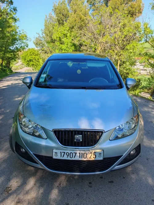 Seat Ibiza 2010 Loca