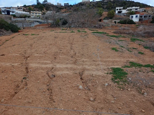 Vente Terrain Tlemcen Dar yaghmouracene