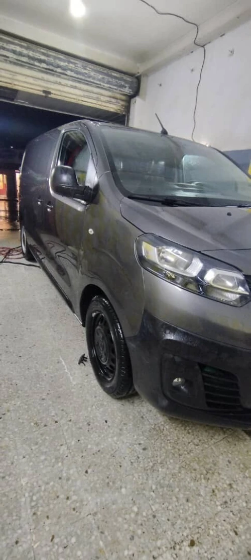 Fiat scoudo 2024 