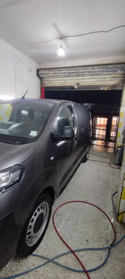 Fiat scoudo 2024 