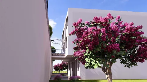Vente Appartement Studio F2 F3 Tizi Ouzou Tigzirt