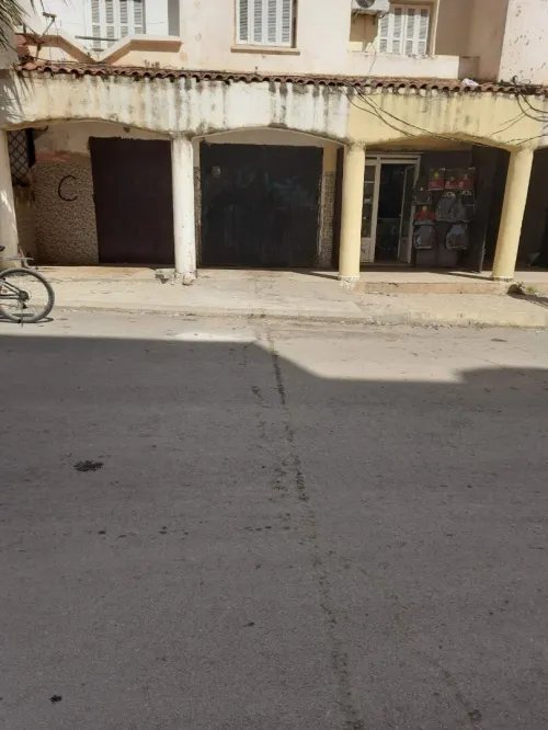 Location Local Tipaza Kolea