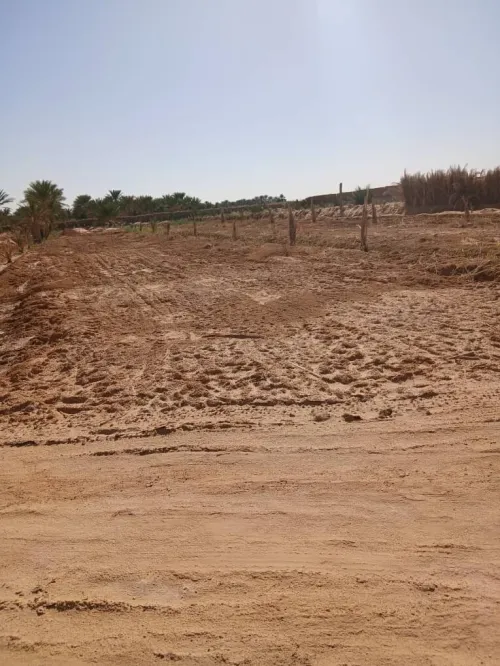Vente Terrain Agricole Touggourt Blidet Amor