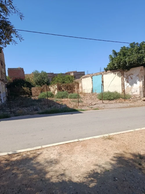 Vente Terrain Mostaganem Ain tadles