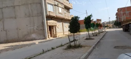 Vente Terrain Skikda Ben Azzouz