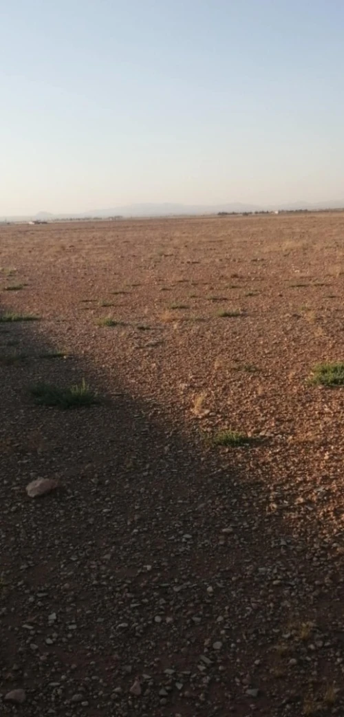Vente Terrain Agricole Tiaret Rechaiga sebaine