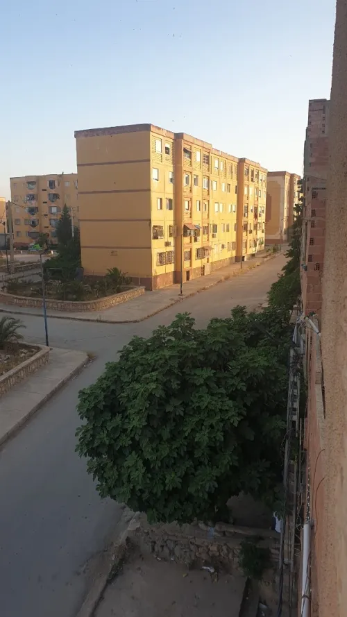 Vente Villa Tiaret Tiaret