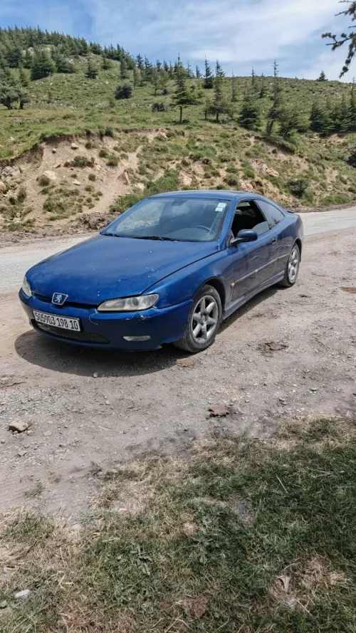 Peugeot 406 Coupé 1998 406 Coupé