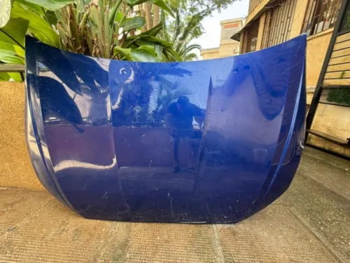 Capot original bleu ibiza 2019