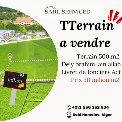 Vente Terrain Alger Dely brahim