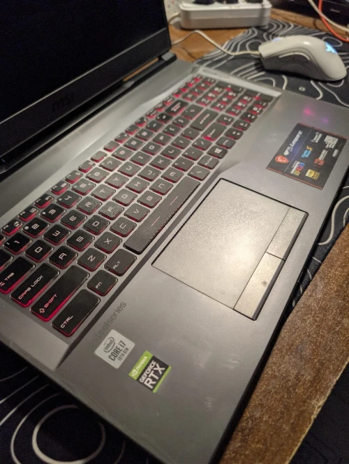 MSI leopard gb75 (Rtx2070)